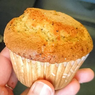 She threw in a free muffin! I got poppyseed, though this was a little dry and plain - 2.5 stars. Mon lunch 2016-05-30