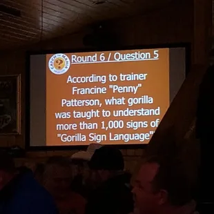 Trivia Friday Nights in WINTER