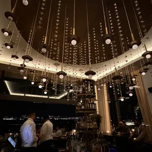 Lovely bird installation at the bar