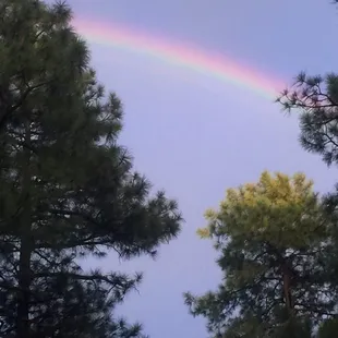 This is the view I had at moon ridge lodge!!   So beautiful