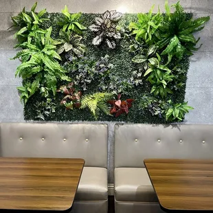 interior, salads