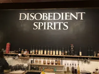 Disobedient Spirits