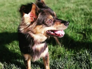 Soulmate Photography