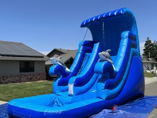 Family Jumps Bounce House and Party Rentals