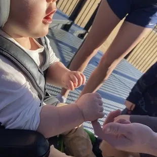 My son enjoying the bells ringing.