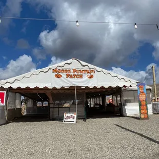Moore pumpkin patch