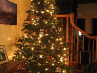 BSA Troop 900 Christmas Tree Lot