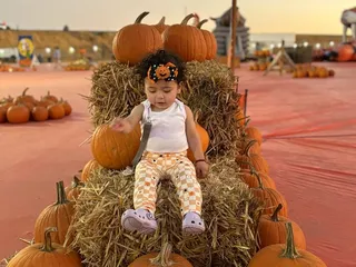 Golden State Family Farm's