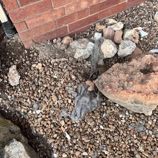 My &quot;finished&quot; landscaping