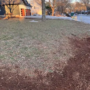 What the rest of my yard looks like and what that mud pit looked like before Moore water