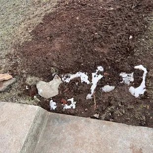 &quot;My finished yard&quot;