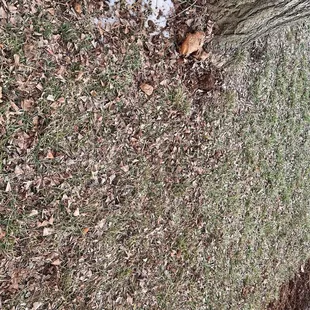 Rocks in my yard so I&apos;ll sling them and break windows when I mow next. Thanks Moore water