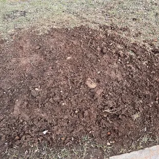 My &quot;finished yard&quot;