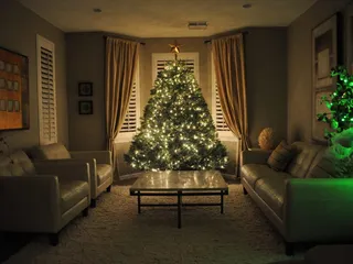 Alpine Christmas Trees