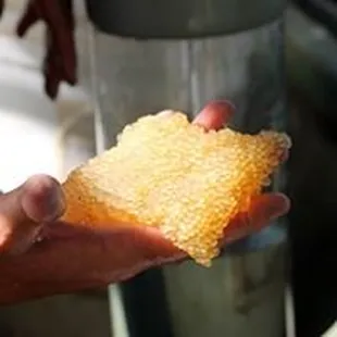 a person holding a piece of bread