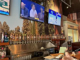 Sequoia Brewing