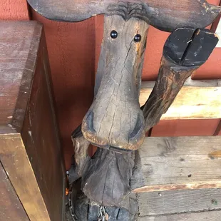 Moose