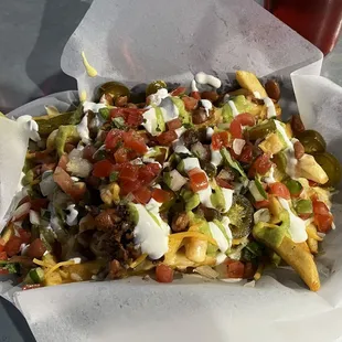 Nacho fries were good