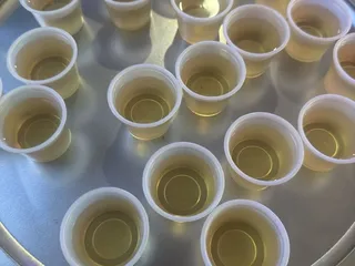 Chita's Nefertiti Bar