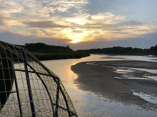 Woody's Airboat Tours
