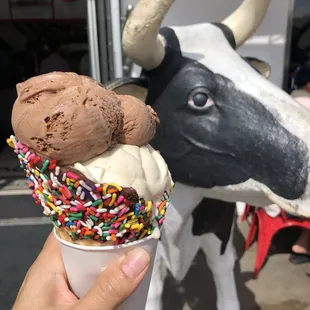 Two scoop on a cone- brownie batter and peanut butter. National ice cream day!