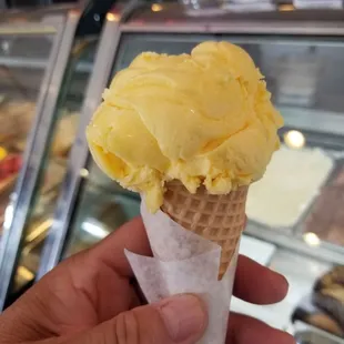 Mango Sorbet