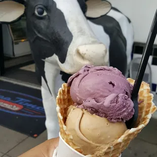 This is the coffee ice cream and I believe black cherry on a waffle cone.