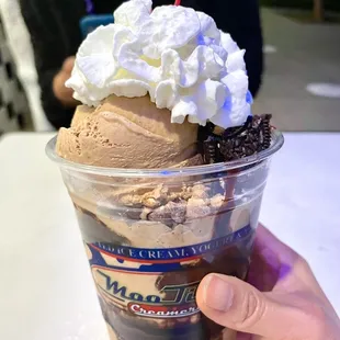 Mississippi Mud sundae  -9$ for a big cup pictured here, 8$ for a little (which is filled to the red line), 7$ for a mini