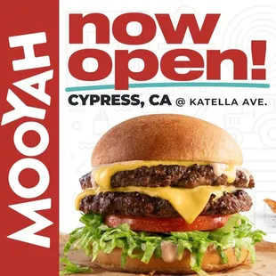 burger, burgers, food