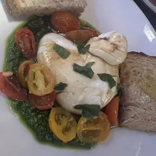 OO Burrata
