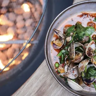 Manilla Clams