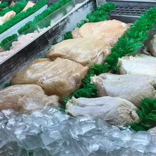 Chicken / venga por su pollo