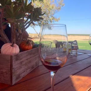 Great atmosphere and amazing wine