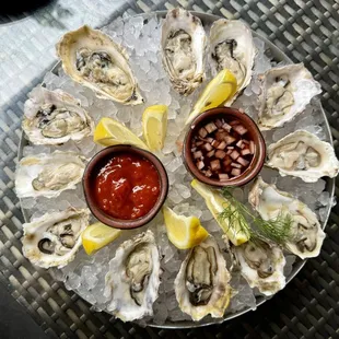 Dozen Pacific Oysters