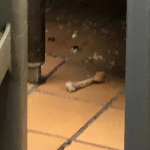 Chicken bones on the floor really disgusting
