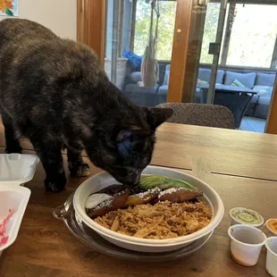 My cat never wants people food but she was all about this shredded chicken!