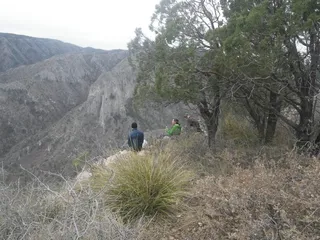 McKittrick Ridge Campsite