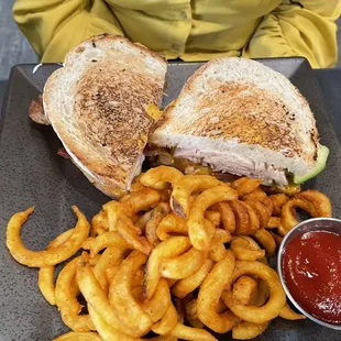 Turkey panini and Curly Fries