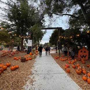 Moreland Pumpkin Patch