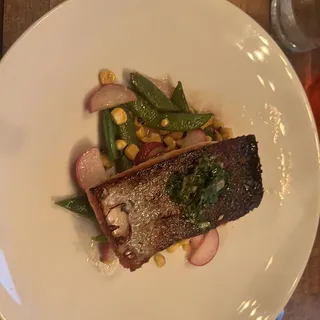 Salmon