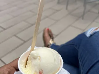 Honeysuckle Gelato