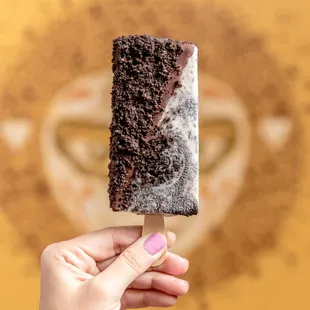 Morelia Ice Cream Paletas - Fort Mill 
Best Ice Cream Experience