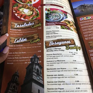a hand holding a menu