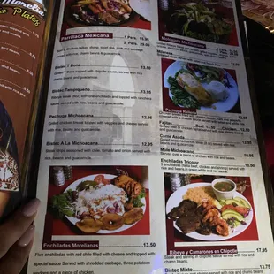 a hand holding a menu