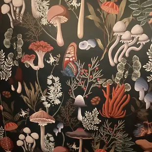 Wallpaper