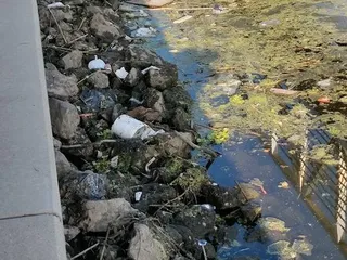 Stockton Downtown Marina