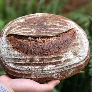 Multigrain Boule ($8) - wheat with soaked grains (wheat, rye, barley oats and spelt) and various seeds