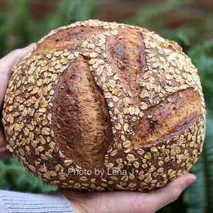 Toasted Oat Porridge Loaf ($8) - relatively moist and soft bread, but drier and less tender than expected