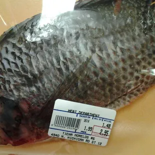 a fish in a plastic bag