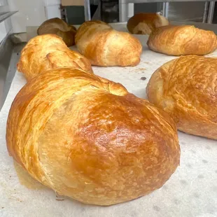 Freshly baked croissants